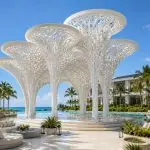 Luxury poolside sculptural canopy inspired by organic natural forms.