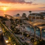 Luxury poolside sculptural canopy inspired by organic natural forms.